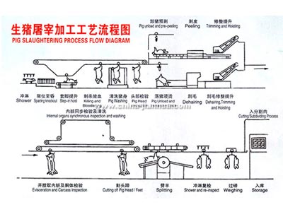 开云手机入口